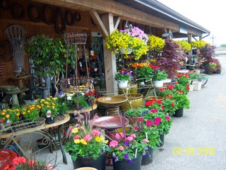 <a href="http://www.mcintoshgreenhouse.com">More Information Available at www.mcintoshgreenhouse.com</a><br><br>Fantastic opportunity on 14+/- acres just south of Goshen, IN with lots of frontage on US 33.  This property is currently zoned commercial-retail and consists of 16 greenhouses with 37,494 SF of heated growing area.  

In addition, it includes retail buildings, shop, and an approx. 1700 SF home adjacent to the business. Opportunities abound with this prime property and the second generation owners retiring and ready to consider offers.  Possible uses of this acreage is unlimited!  A Great location on a busy road, good access and paved parking for 66 vehicles.

 - 14+/- Acres Zoned Commercial-Retail